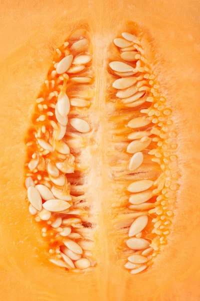 Cantaloupe melon seeds macro texture background — Stock Photo, Image