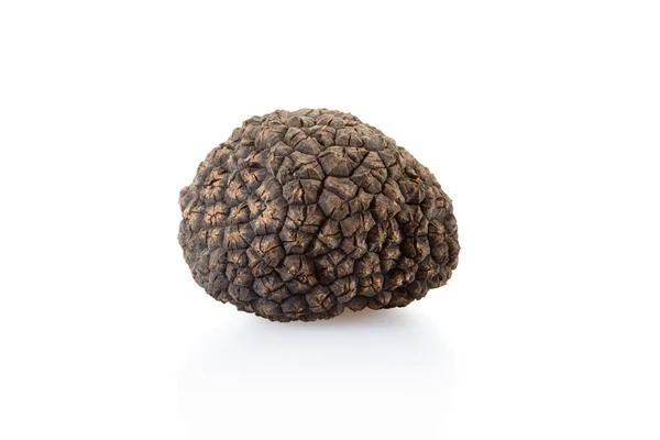 Single Black Truffle Isolated White Clipping Path Included — Stock Photo, Image