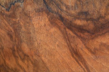 Çalı ağacı dokusu arkaplanı 