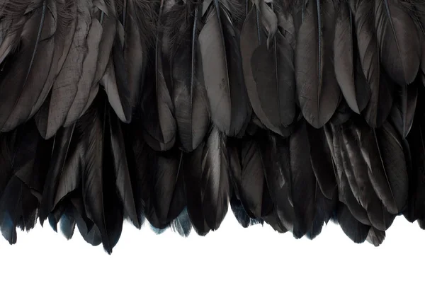 Plumas Negras Borde Textura Fondo Blanco Camino Recorte — Foto de Stock