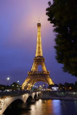 Nehir Manzaralı geceleri Paris'te Eyfel Kulesi