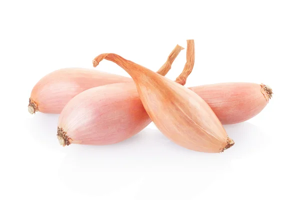 Shallot onions group isolated on white — Stock Photo, Image