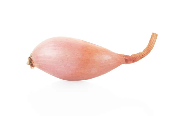 Shallot onion single on white — Stock Photo, Image