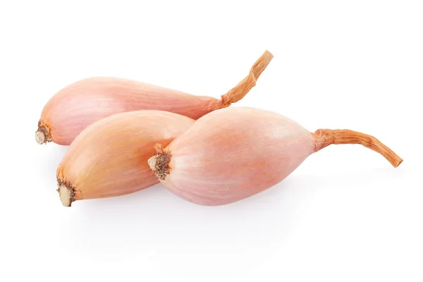 Shallot onions group — Stock Photo, Image