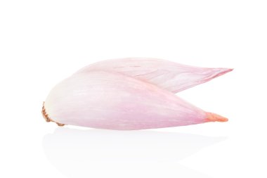 Soğancık beyaz Karanfil