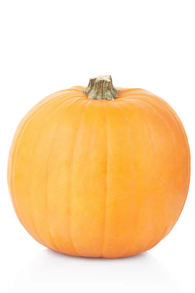 Orange pumpkin on white — Stock Photo, Image