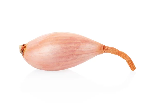 Shallot onion single — Stock Photo, Image