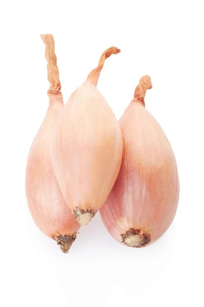 Shallot onions group — Stock Photo, Image