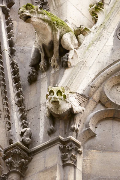 Estátuas de gárgulas de Paris, Notre Dame — Fotografia de Stock