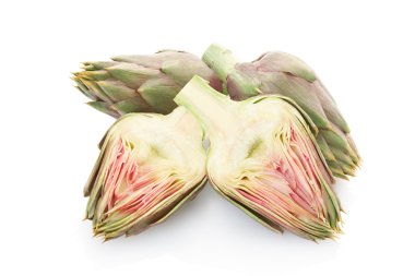 Enginar grubu ve bölüm