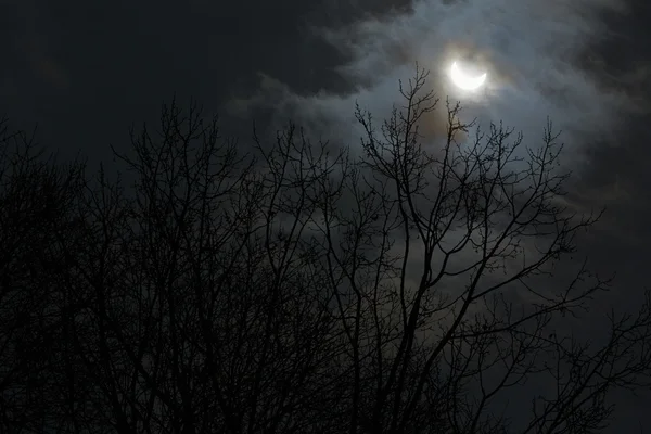 Eclipse de sol y ramas de árboles de invierno con cielo nublado — Foto de Stock