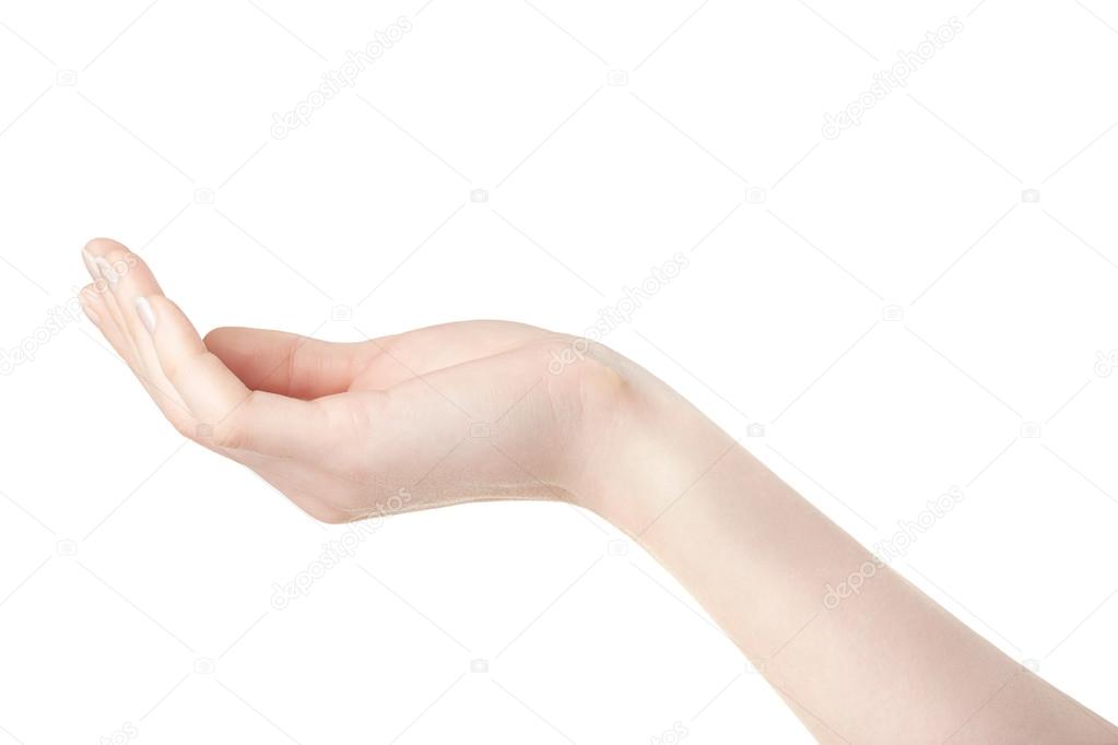 Woman Empty Hand Open Palm On White Stock Photo By C Andreaa Woman Empty Hand Open Palm On White Stock Photo By C Andreaa