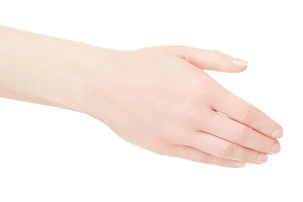 Woman empty hand back on white — Stock Photo, Image