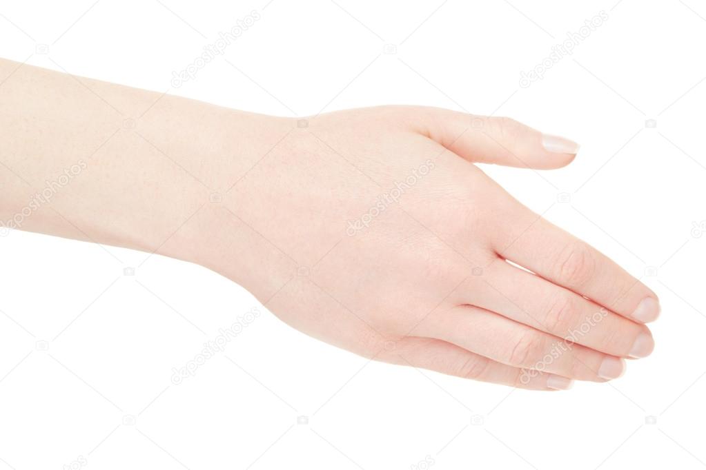 Woman empty hand back on white
