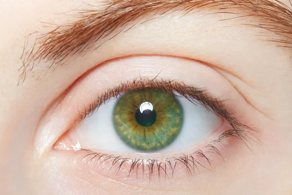 Макрос людського, зеленого здорового ока — стокове фото