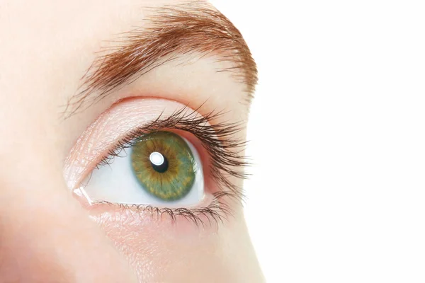 Human, green healthy eye macro on white background — Stock Photo, Image