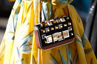 Anna dello Russo poses for photographers before Fendi show, Milan fashion week