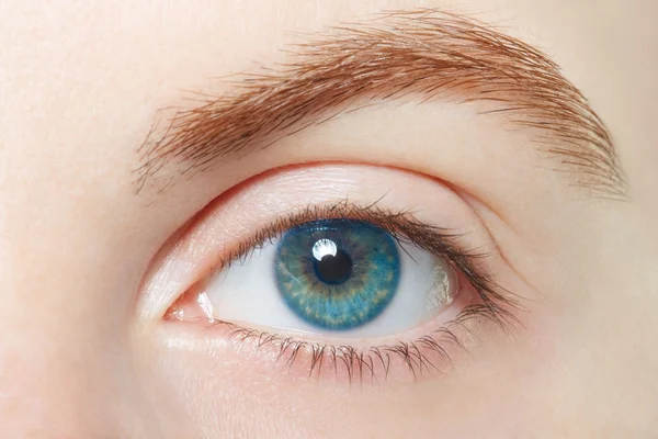 Human, blue healthy eye macro — Stock Photo, Image