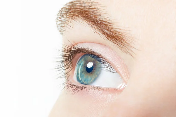 Human, blue healthy eye macro — Stock Photo, Image