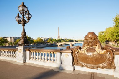 Pont Alexandre III köprü korkuluk Eyfel Kulesi Manzaralı