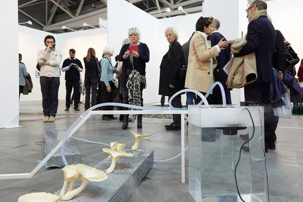 Artissima, contemporary art fair opening with people and mushrooms installation — стокове фото