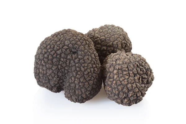 Black truffle group on white — Stok fotoğraf