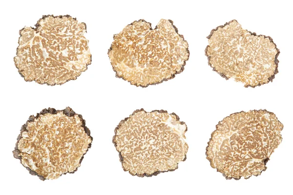 Black truffle slices collection on white — Stok fotoğraf