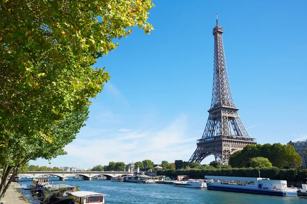 Ейфелева вежа та видом на річку Сену відгалуженнями зелене дерево в Парижі — стокове фото