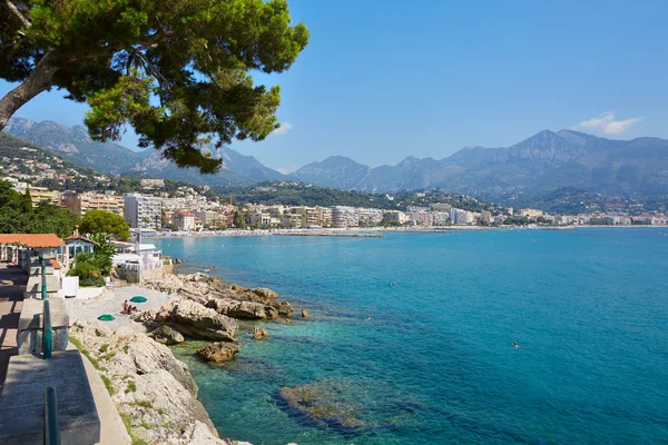 Blue sea and sky of the French riviera coast  with maritime pine in summer, Cap Martin — Stock Photo, Image