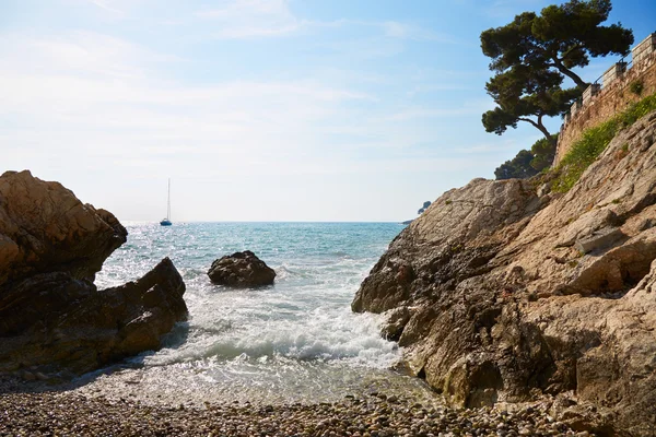 Mediterranean coast and sea with maritime pine, French riviera — 스톡 사진