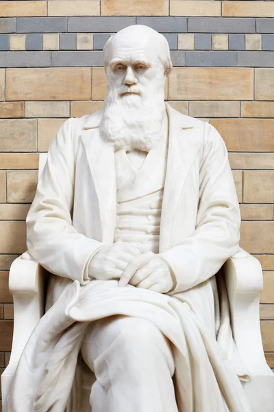 查尔斯 · 达尔文白色大理石雕像在伦敦自然史博物馆 — 图库照片