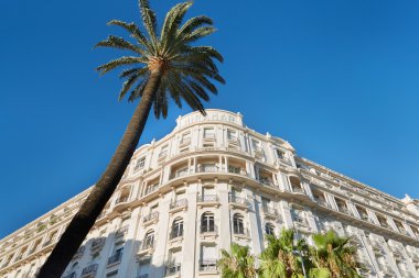 Palmiye ağacı ile lüks otel Cannes 
