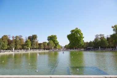 Tuileries Bahçesi insanlarla, gölet görünümü Paris
