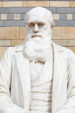 Londra'da Charles Darwin beyaz mermer heykel büstü