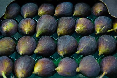 Black Mission incirleri veya Franciscana incirleri, yüksek kaliteli incir çeşitliliği veya süpermarkette veya markette plastik bir tepside Ficus carica, Akdeniz meyvesi ve birden fazla sağlık sigortası