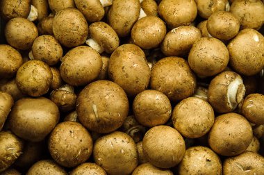 Agaricus bisporus ya da cremini mantarları, yaygın kahverengi düğmeli mantarlar bebek Bella ya da bebek Portobello olarak da bilinir, vejetaryen ve vejetaryen tüketiciler arasında sağlıklı alternatif protein olarak çok popüler bir seçim.