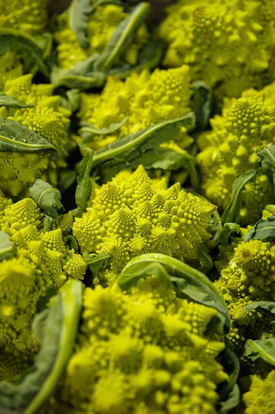 Forme Sorprendenti Spirali Formate Broccoli Romanesco Noto Anche Come Cavolfiore — Foto Stock