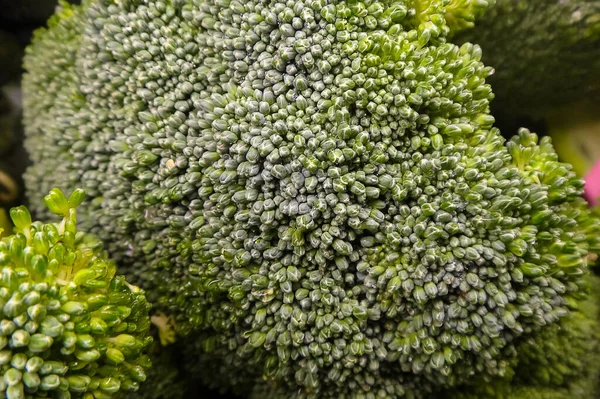 Brokkoliköpfe Oder Brassica Oleracea Auf Dem Bauernmarkt Mit Strukturierten Röschen — Stockfoto