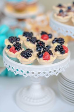 Lezzetli meyveli turtalar misafirler için hazır, narin minyatür turtalar, ahududu, yaban mersini ve yaban mersini, muhallebi ve hamur tatlısı.