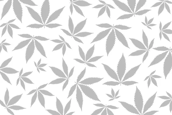 Folhas Cannabis Cinza Claro Tamanhos Diferentes Espalhadas Desigualmente Fundo Branco — Fotografia de Stock