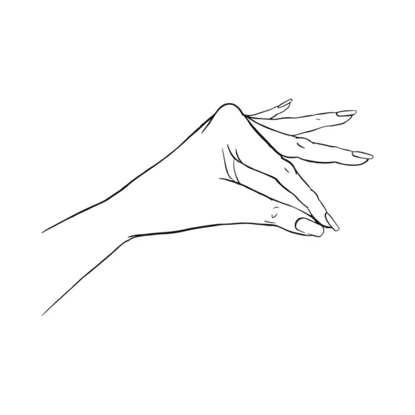 Continuous Line Hand One Line Drawing Beauty Hand Isolated On White Minimalistic Style Continuous Vector Line Larastock Continuous Line Hand One Line Drawing Beauty Hand Isolated On White Minimalistic Style Continuous Vector Line Larastock