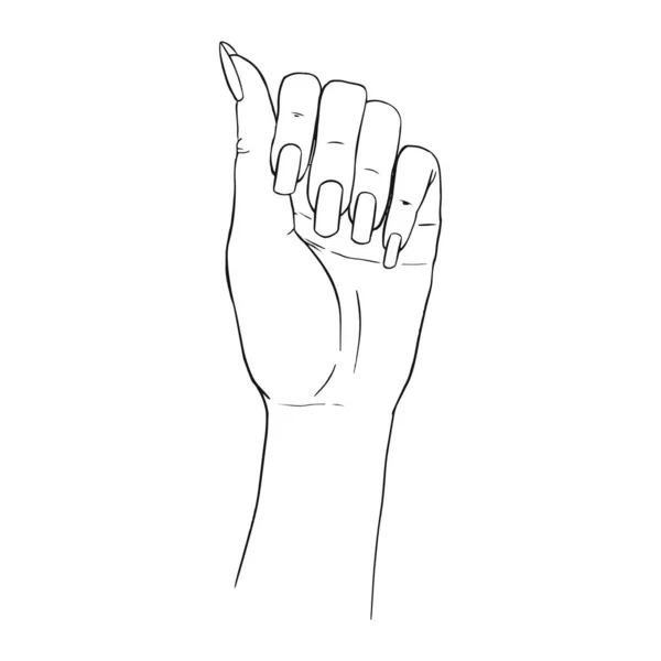 Hand Gestures Outline Vector Illustration Women Girl Female Palm Drawing — Stock Vector