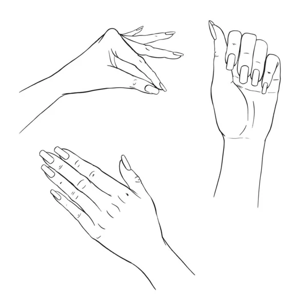 手をマニキュア 様々なジェスチャーでエレガントな女性の手を描いた手のベクトルコレクション マニキュア スキンケアのコンセプト — ストックベクタ