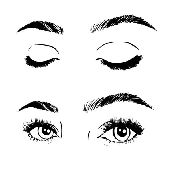 女性眼睛和眉毛图像集合 时尚运动女人们的眼睛设计 — 图库矢量图片