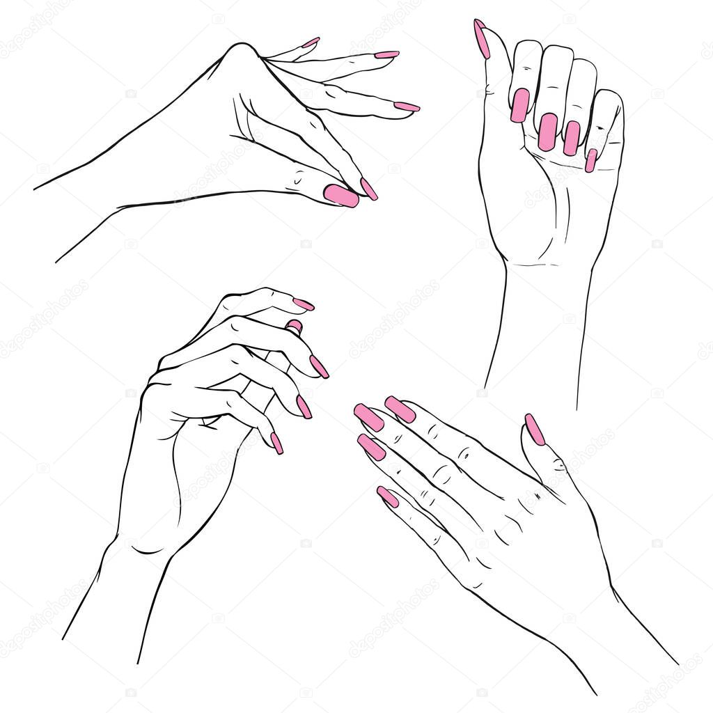 Manicure hands. Vector collection of hand drawn elegant woman hands in various gestures. Manicure, beauty and skincare concept