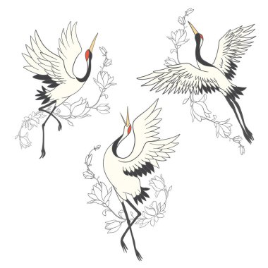 Kuş için çizimlerin vektör kümesi vinçtir. Beyaz leylek. Beyaz arkaplandaki izole nesne.