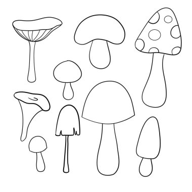 Mantar seti, karalama stili, çizim, vektör. Tilki. Beyaz mantar. Süt mantarı. Mantarlar. İstiridye mantarı..