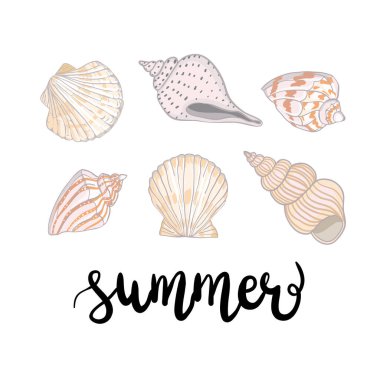 El çizimi vektör çizimleri - deniz kabuğu koleksiyonu. Denizci takımı. Davetiyeler, tebrik kartları, posterler, baskılar, afişler vs. için mükemmel