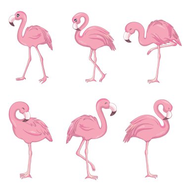 Beyaz arka planda dört pembe flamingo izole edilmiş vektör seti. Düz tasarım.