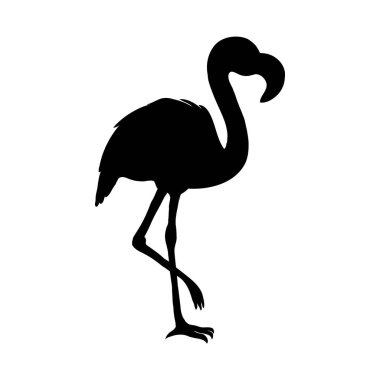 Flamingo izole edildi. Egzotik kuş. Siluet flamingo, dekoratif düz tasarım ögesi.